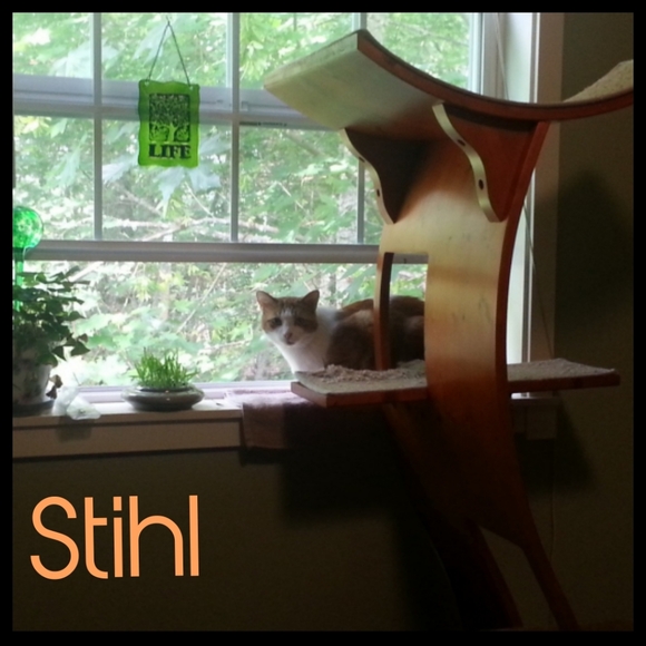 ♡ For the love of animals ♡ - Picture 7 of 8